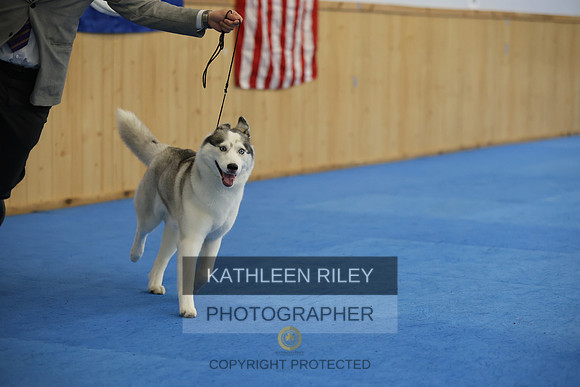 SJLT3157