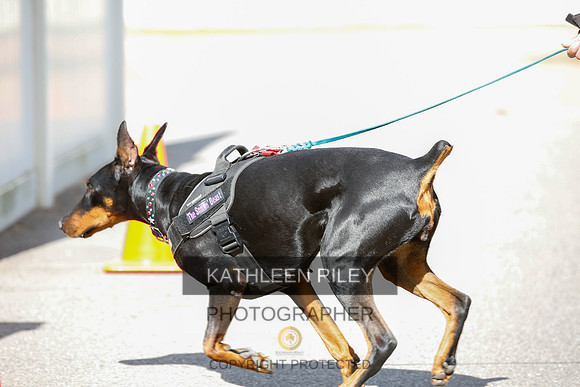 2022-KathleenRileyPhotography-3872
