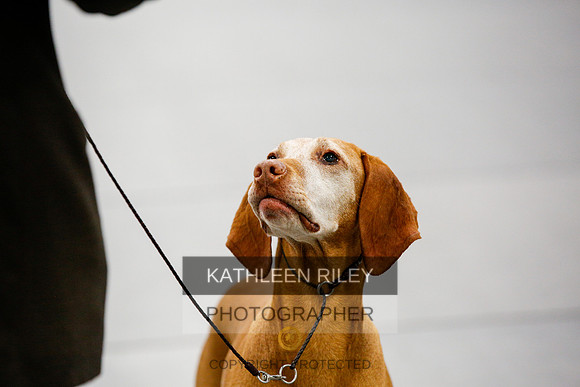 2022-KathleenRileyPhotography-2413
