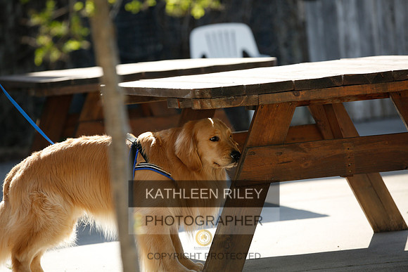2022-KathleenRileyPhotography-2631