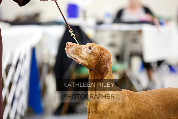 2022-KathleenRileyPhotography-2348