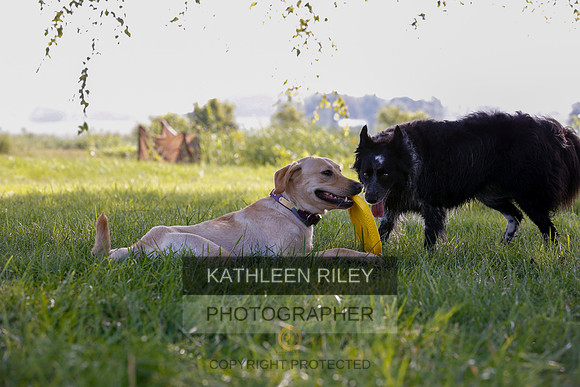 2022-KathleenRileyPhotography-7937