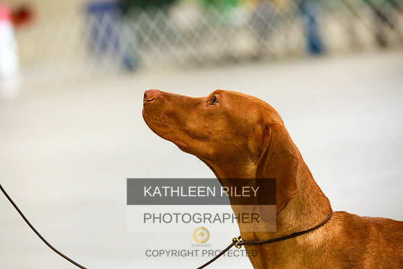2022-KathleenRileyPhotography-8755