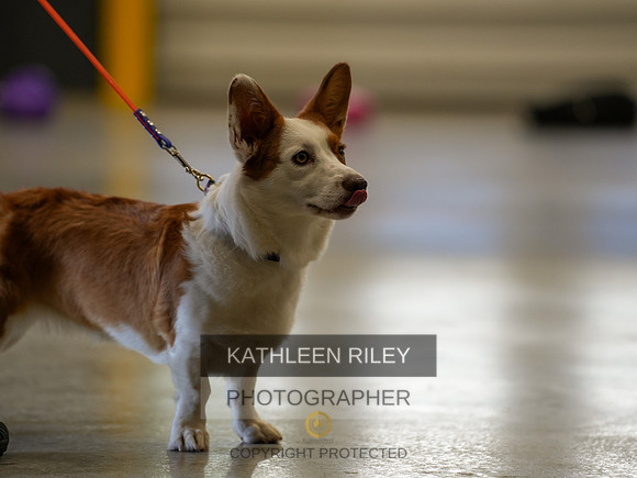 2022-KathleenRileyPhotography-03756
