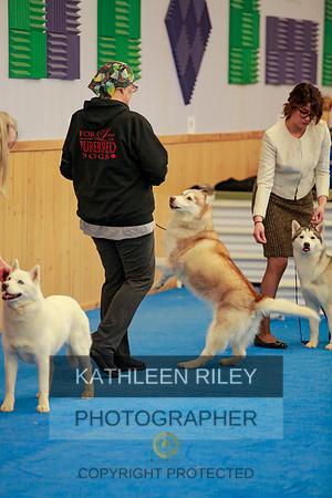 2022-KathleenRileyPhotography-6378
