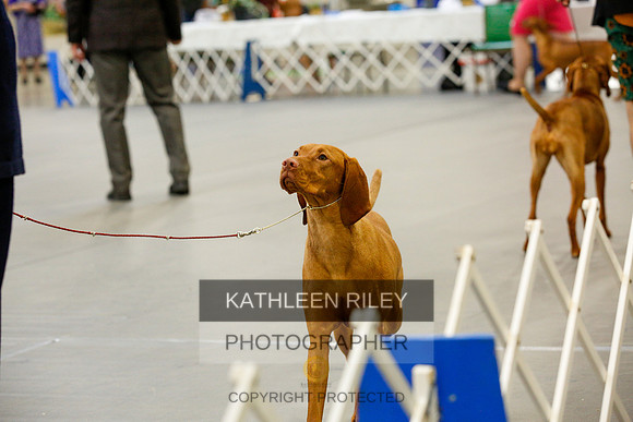 2022-KathleenRileyPhotography-9631