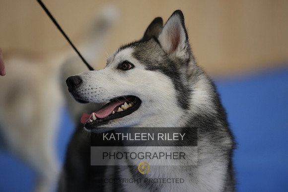 SJLT3025