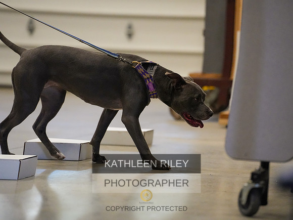 2022-KathleenRileyPhotography-03855