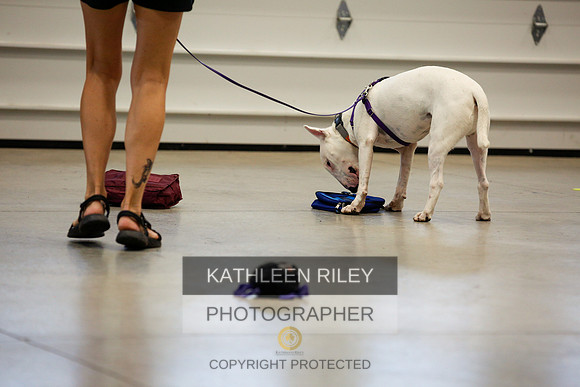 2022-KathleenRileyPhotography-7437