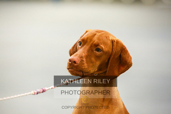 2022-KathleenRileyPhotography-8876