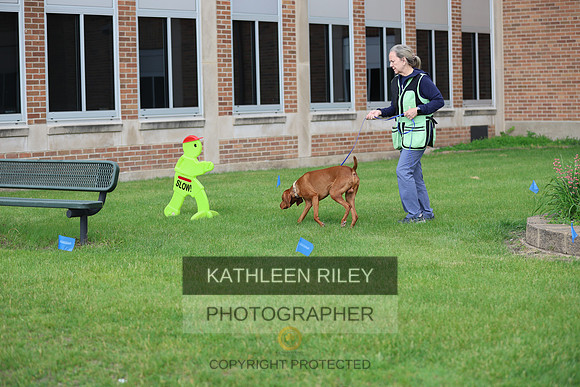 SJLT1933