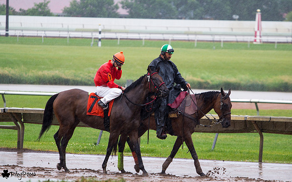 Jake Olesiak on Spice Swirl a Thoroughbred  at Canterbury Park