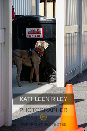 2022-KathleenRileyPhotography-3945