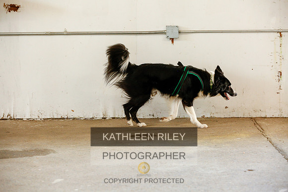 2022-KathleenRileyPhotography-9403