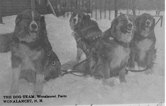 Arthur Walden's St Bernard Mix team
