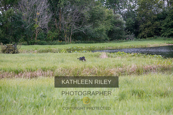 2022-KathleenRileyPhotography-3280
