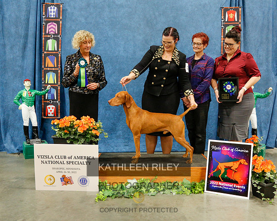 2022-KathleenRileyPhotography-7559