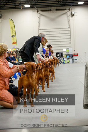 2022-KathleenRileyPhotography-1374