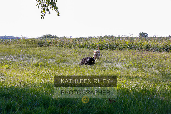2022-KathleenRileyPhotography-7905