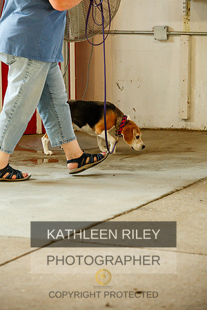 2022-KathleenRileyPhotography-9348