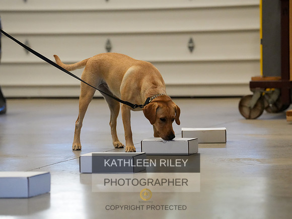 2022-KathleenRileyPhotography-03823