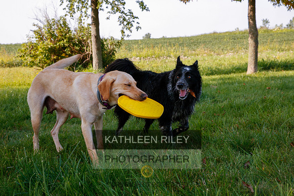 2022-KathleenRileyPhotography-5548
