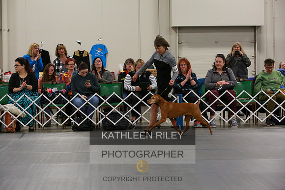2022-KathleenRileyPhotography-8107