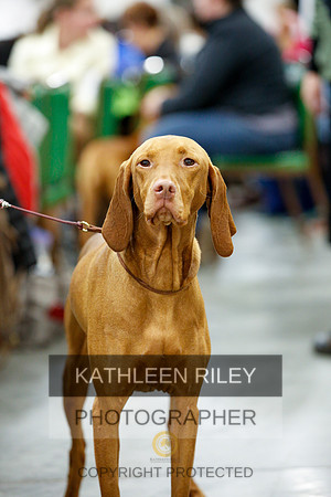2022-KathleenRileyPhotography-1218