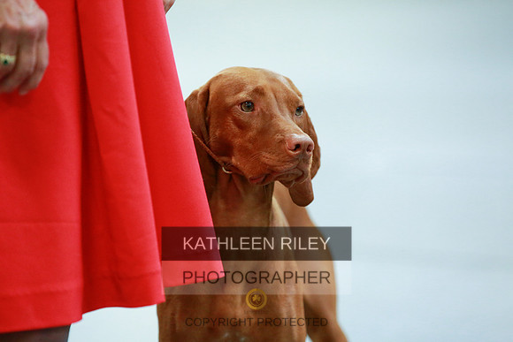 2022-KathleenRileyPhotography-8807