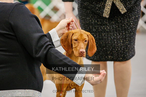 2022-KathleenRileyPhotography-1742
