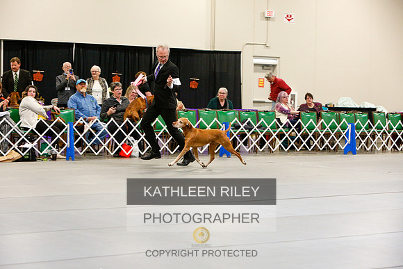 2022-KathleenRileyPhotography-3146