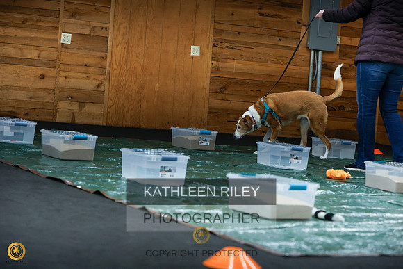 1N5A1318