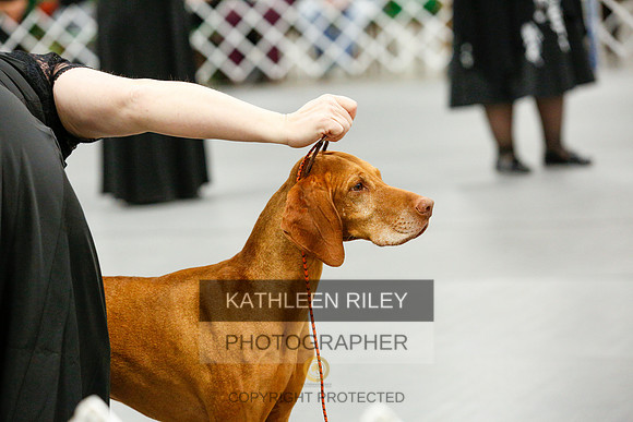 2022-KathleenRileyPhotography-0175