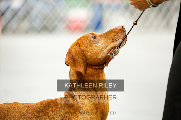 2022-KathleenRileyPhotography-0116