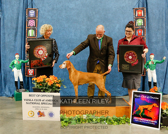 BOS-2022-KathleenRileyPhotography-7420 (1)