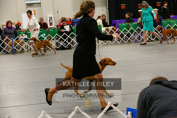 2022-KathleenRileyPhotography-6054