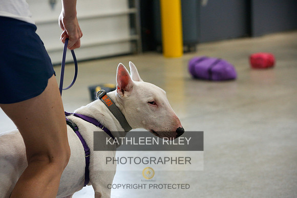 2022-KathleenRileyPhotography-4813