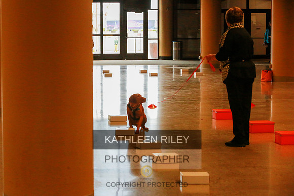 2022-KathleenRileyPhotography-7482