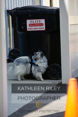 2022-KathleenRileyPhotography-4227
