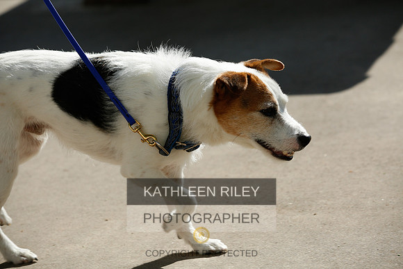 2022-KathleenRileyPhotography-2692