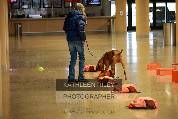 2022-KathleenRileyPhotography-7413