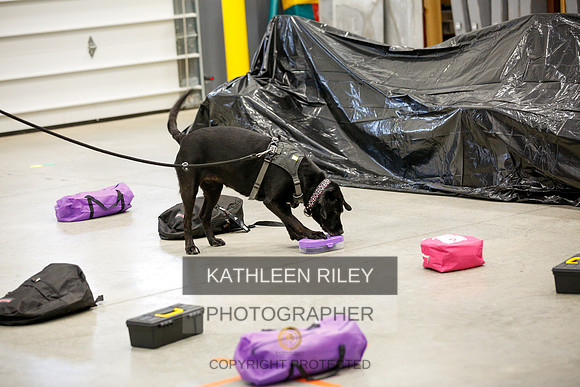 2022-KathleenRileyPhotography-6862