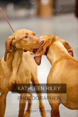 2022-KathleenRileyPhotography-1700