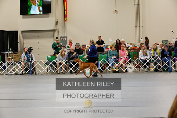 2022-KathleenRileyPhotography-0956
