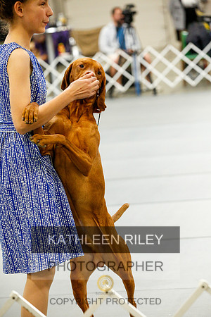 2022-KathleenRileyPhotography-0846