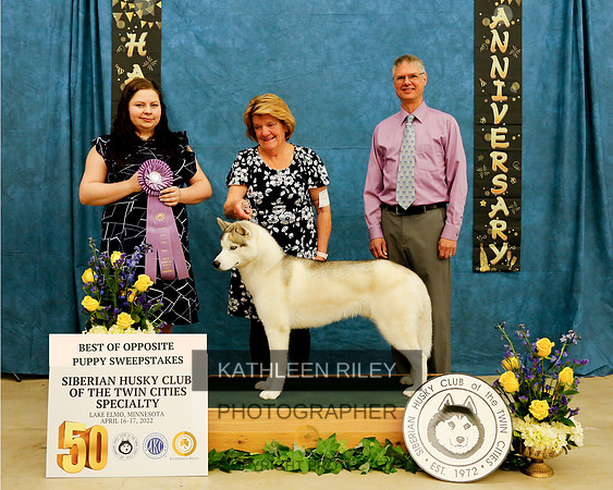 BEST OF OPPOSITE PUPPY SWEEPS