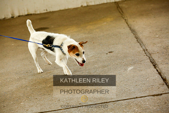 2022-KathleenRileyPhotography-9337