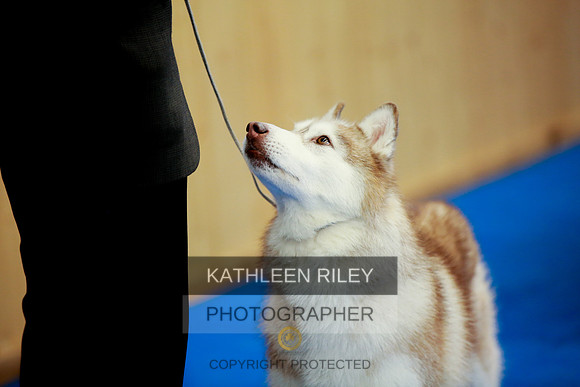 2022-KathleenRileyPhotography-5350