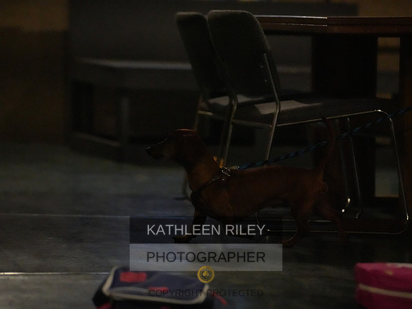 2022-KathleenRileyPhotography145
