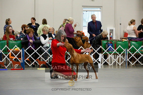 2022-KathleenRileyPhotography-2232